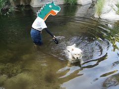 -碓臼峪自然风景区