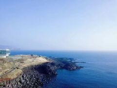 -涉地可支