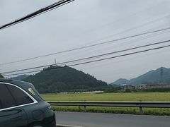 -李东农庄(中南百草园地标店)