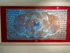 -上海昆虫博物馆