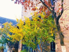 -回龙窝历史文化街区