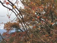 -广州市石门国家森林公园