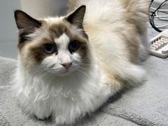 -零纪元VR体验馆·桌游(黄浦店)