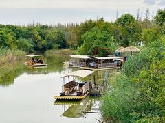 -上海长兴岛郊野公园