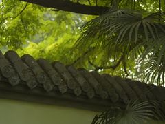-望江楼公园