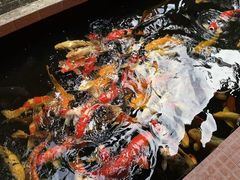 -侠成水上农庄(工业大道店)