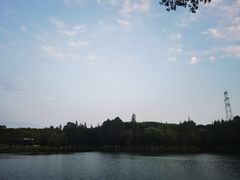 -新洲生态园