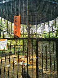 -优沃得自然教育农场·冰雪乐园·生日会·研学