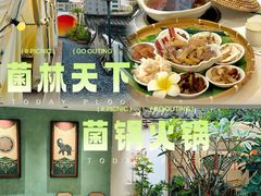-菌林天下·野生菌汤锅