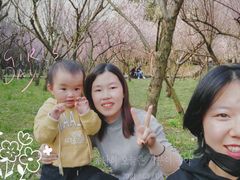 -贵阳市花溪国家城市湿地公园