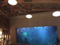 -西雅图水族馆