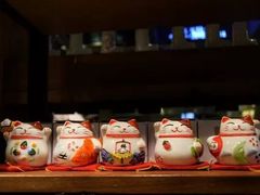 -猫咪博物馆(顶澳仔猫街店)