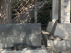 -青岩寺风景区