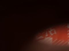 -荆九爷爆炒桥头三嫩(夫子庙店)