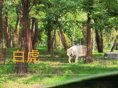 -秦皇岛野生动物园