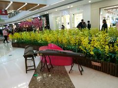 -万达广场(泰安泰山店)