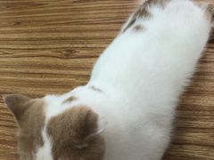 -非同凡相照相馆(咸水沽店)