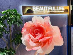 -花隐·美芙炫海菲秀皮肤管理中心