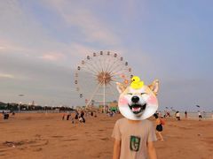-奉贤海滩