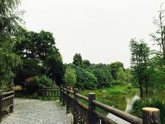 -金卉庄园