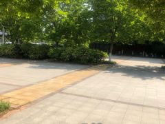 -山东科技大学（青岛校区）-图书馆