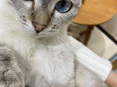 -藏猫猫咖啡主题馆(中央大道店)
