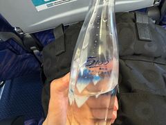 -厦门高崎国际机场-T3航站楼