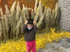 -三亚湾红树林国际会展中心(演出售票)