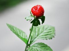 -南京金牛湖风景区