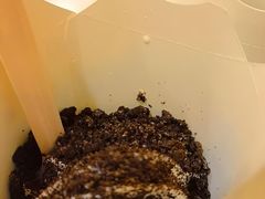 -麦当劳(杭州西湖银泰百货店)