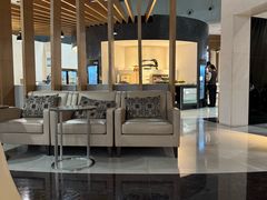 -虹桥机场国航贵宾室v8