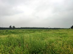 -汉景帝阳陵博物院