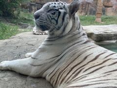 -杭州野生动物世界