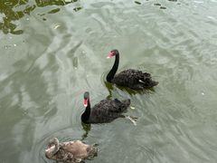 -泉州海丝野生动物世界