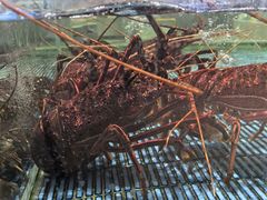 -顺风山庄(水濂山店)