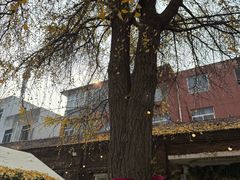 -秘密小花园(第三中学店)