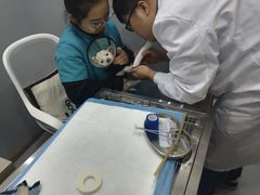 -嘉美宠物医院