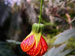 -南通洲际绿博园