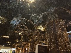 -云顶高原