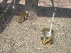 -新疆天山野生动物园