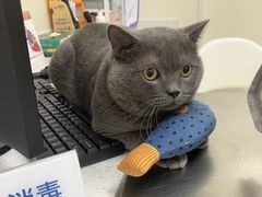 -爱诺耐芙动物医院(万博店)