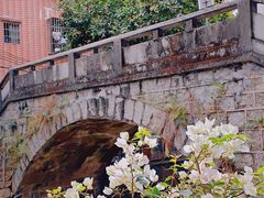 -小洲村