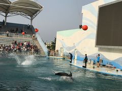 -北戴河圣蓝海洋公园