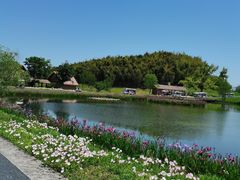 -良渚古城遗址公园