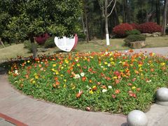 -铁山坪森林公园