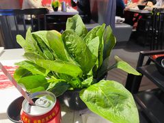 -京韵胡同·酱香羊蝎子火锅涮肉(长寿路店)