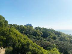 -广东惠东海龟国家级自然保护区