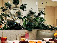 雪方椰奶冻-大树餐厅(朝阳大悦城店)
