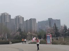 -朗悦公园茂