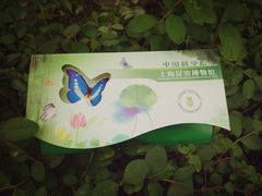 -上海昆虫博物馆